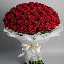Букет 101 Красная роза Блэк Мэджик в Лихославле