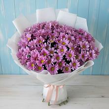 Букет цветов из:  Хризантемы в Лихославле