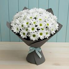 Букет цветов из:  Хризантемы в Лихославле