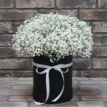 Цветочная композиция из Гипсофила в шляпной коробке в Лихославле