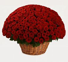 Премиум букет из: Розы в Лихославле