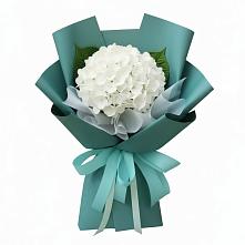 Букет цветов из:  Гортензия в Лихославле